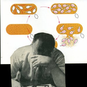 Astasie-abasie 的头像