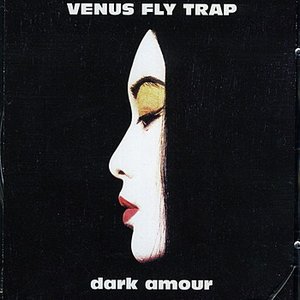 Dark Armour