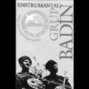 BADIN 的头像