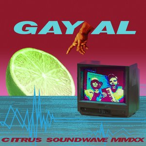 Image for 'CITRUS SOUNDWAVE MMXX'