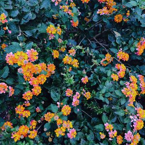 anywhere - Single