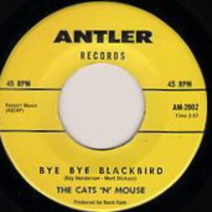 The Cats 'N' Mouse 的头像