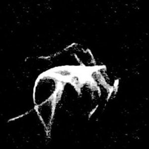 Withersong 的头像