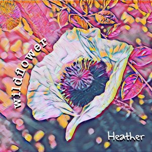 Wildflower (Just Add Sun)