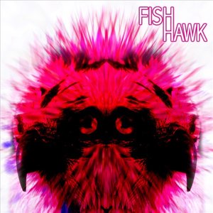 FishHawk