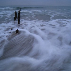 4Moma 2 - Single