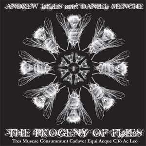 Image for 'Andrew Liles & Daniel Menche'