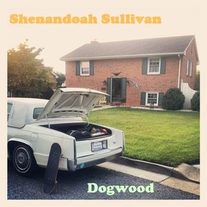 “Shenandoah Sullivan”的封面