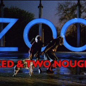 Image for 'Zoo Orchestra'