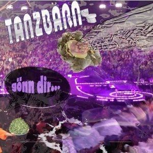 Image for 'Die Tanzbärn'