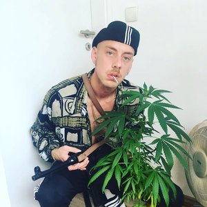 binho 的头像