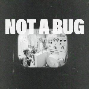 Not A Bug