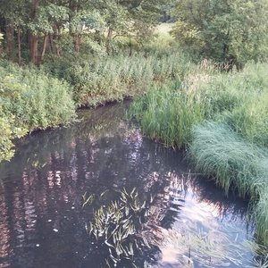 Awatar dla Shimmering Waters