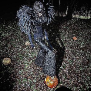 YOU COULD BE PUMPKIN