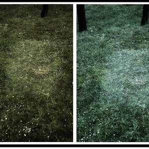 Teamforest + Monolyth & Cobalt