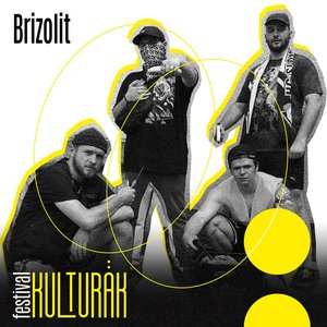 Brizolit 的头像