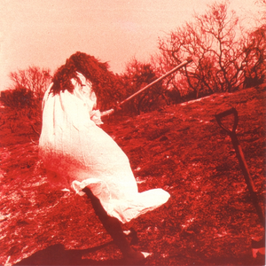 Adam Again - Dig - Zortam Music