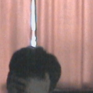zevxev 的头像