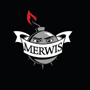 Merwis 的头像