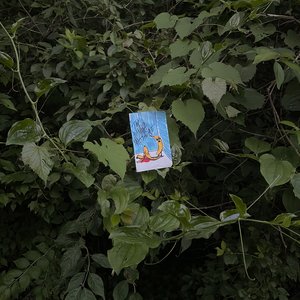 Overgrowth - EP
