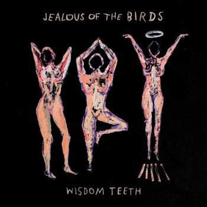 Jealous Of The Birds - Wisdom Teeth - Zortam Music