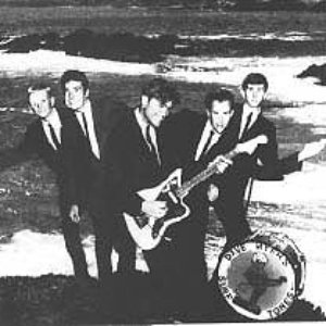 Dave Myers and the Surftones 的头像