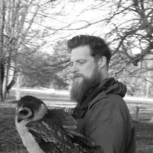 Robin Carolan 的头像