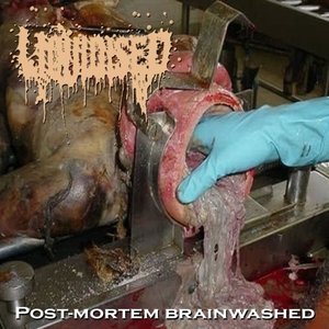 Post-Mortem Brainwashed