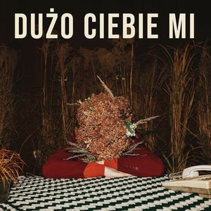 Dużo Ciebie Mi