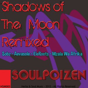 Shadows of the Moon (Remixed)