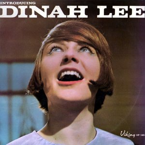 Introducing Dinah Lee