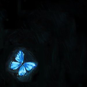 butterfly - Single