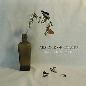 Absence Of Colour