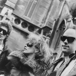 Snapper photo provided by Last.fm