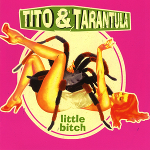 Little Bitch cover
