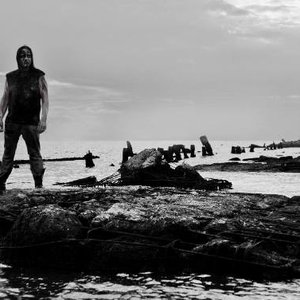 Black Shore 的头像