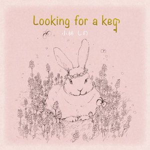 Looking for a key