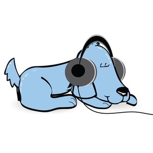 Relaxmydog için avatar