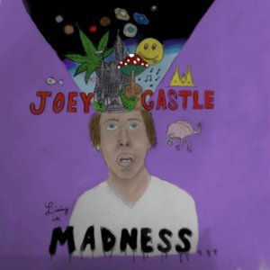 Living in Madness [Explicit]