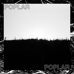 Poplar - Single