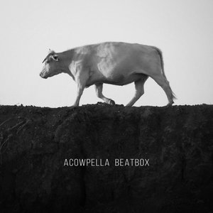 Acowpella Beatbox