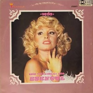 Gel Otur Arkadaşım