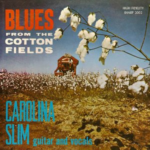 Blues From The Cotton Fields