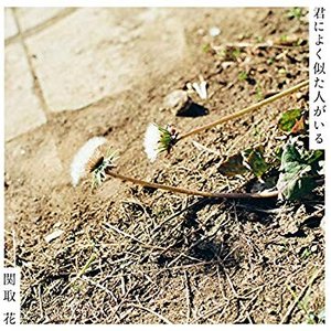 君によく似た人がいる