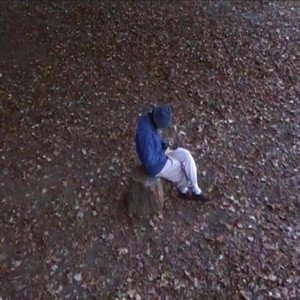 In Dome, Not Real - Single