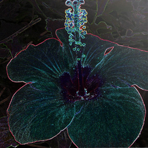 Julie Witwicki Carlsson photo provided by Last.fm