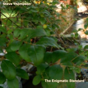 The Enigmatic Standard (EP)