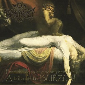 From the veins of a nearly dead boy - A tribute to BURZUM