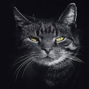Classic 40s Bebop Jazz for Cool Cats
