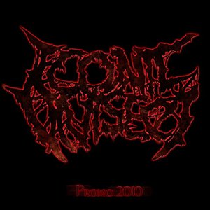 Promo 2010